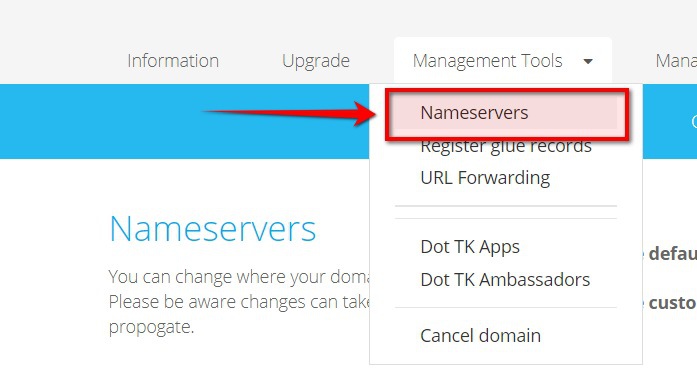 Management Tools -> Nameservers: