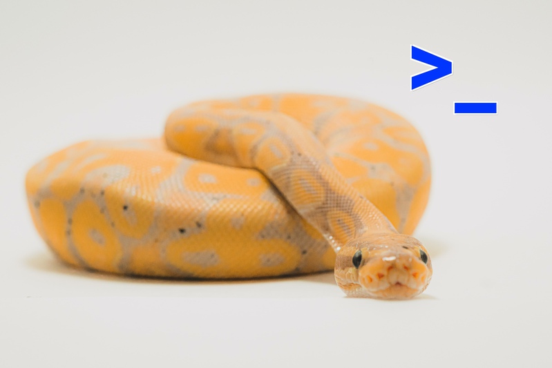 Запустить python файл в консоле