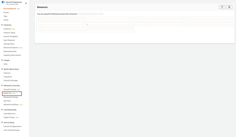 Click the Elastic IPs link in the EC2 Dashboard