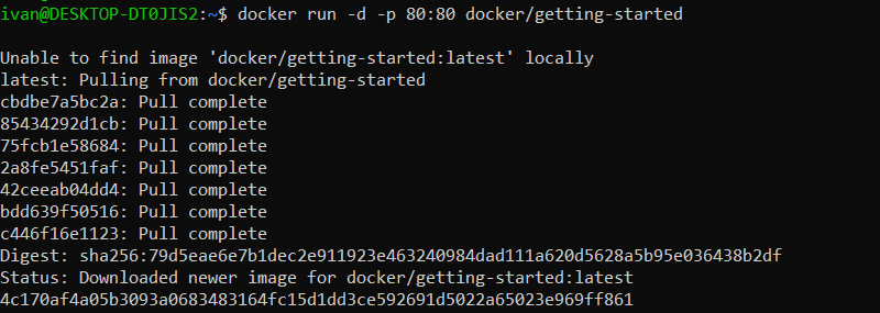 Docker WSL2 run example